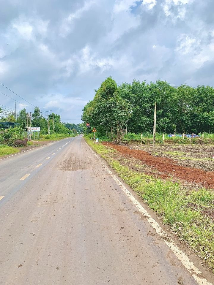Bán đất 1750m² 480 triệu tại Xã Quang Minh Thị xã Chơn Thành