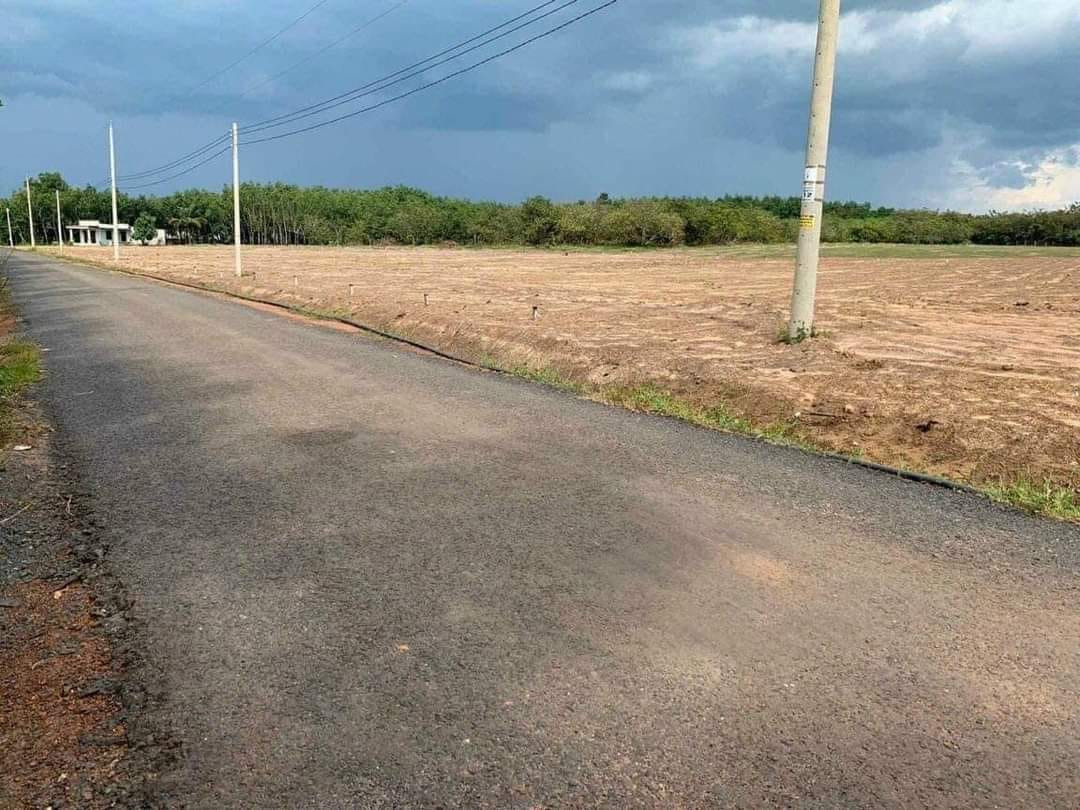 lh 0909 044 186. Sang gấp 1000m2 đất ngay chợ, sát kcn tiện xây trọ giá 190tr
Đất sổ hồng riêng, thổ cư, bao sang tên công chứng