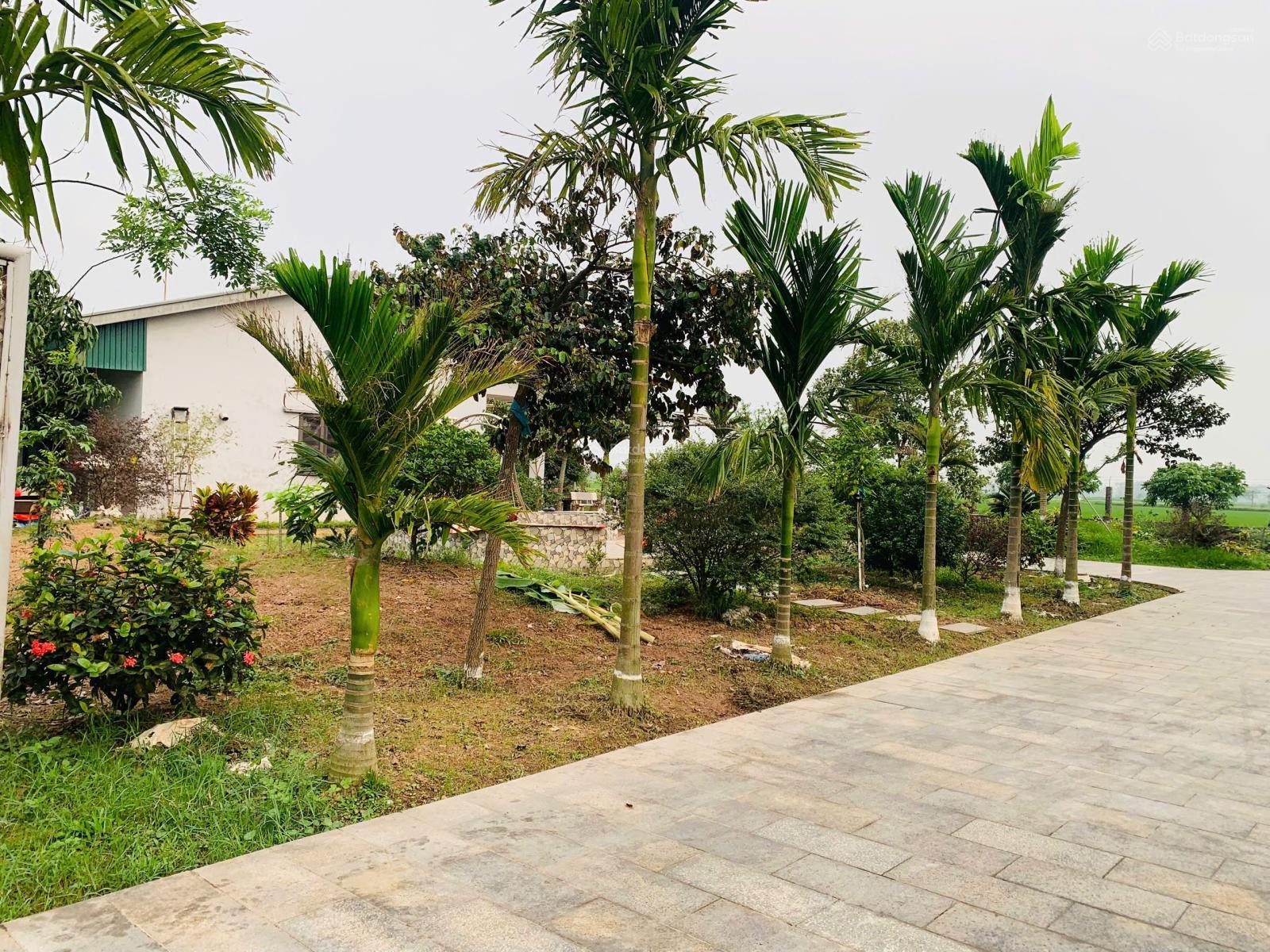 Bán Đất 566m2 có sẵn 166 m2 thổ cư giá 11.5 tỷ tại - Chọn - Xã Quảng Ninh Huyện Quảng Xương Thanh Hóa