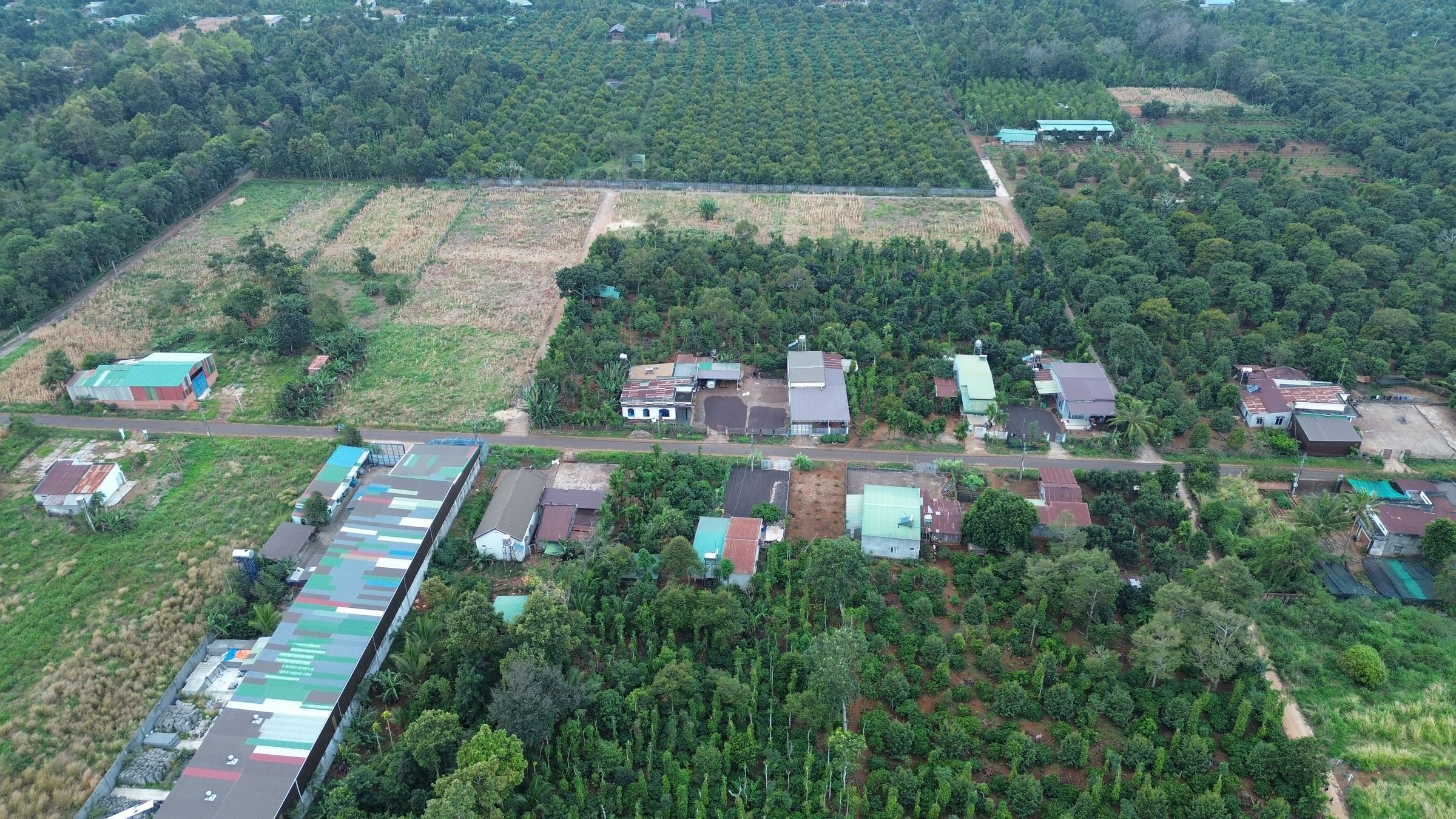 Bán đất thôn 3 Cư Suê 150.9m² có sẵn 145m² thổ cư ngang 5m giá 675 triệu tại Xã Quảng Phú
