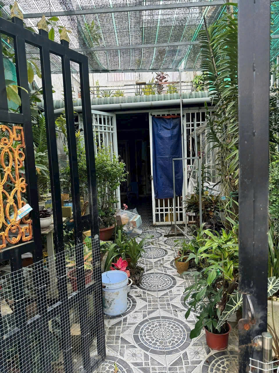 🏠 CƠ HỘI SỞ HỮU NHÀ MẶT TIỀN GIÁ RẺ TẠI TÂN TRỤ – CHỈ 650 TRIỆU