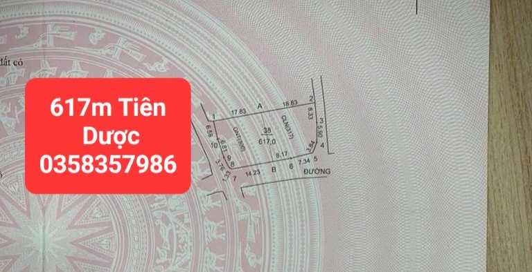 Bán nhà 617m² có sẵn 300m² thổ cư ngang 17.5m giá 18.4 tỷ tại Xã Sóc Sơn