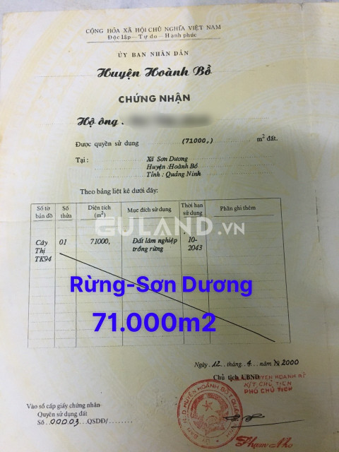 ĐẤT TRỒNG RỪNG - XÃ SƠN DƯƠNG