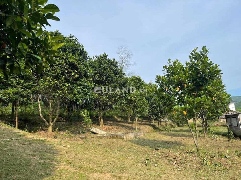 Bán Đất Nhà Vườn Trang Trại
