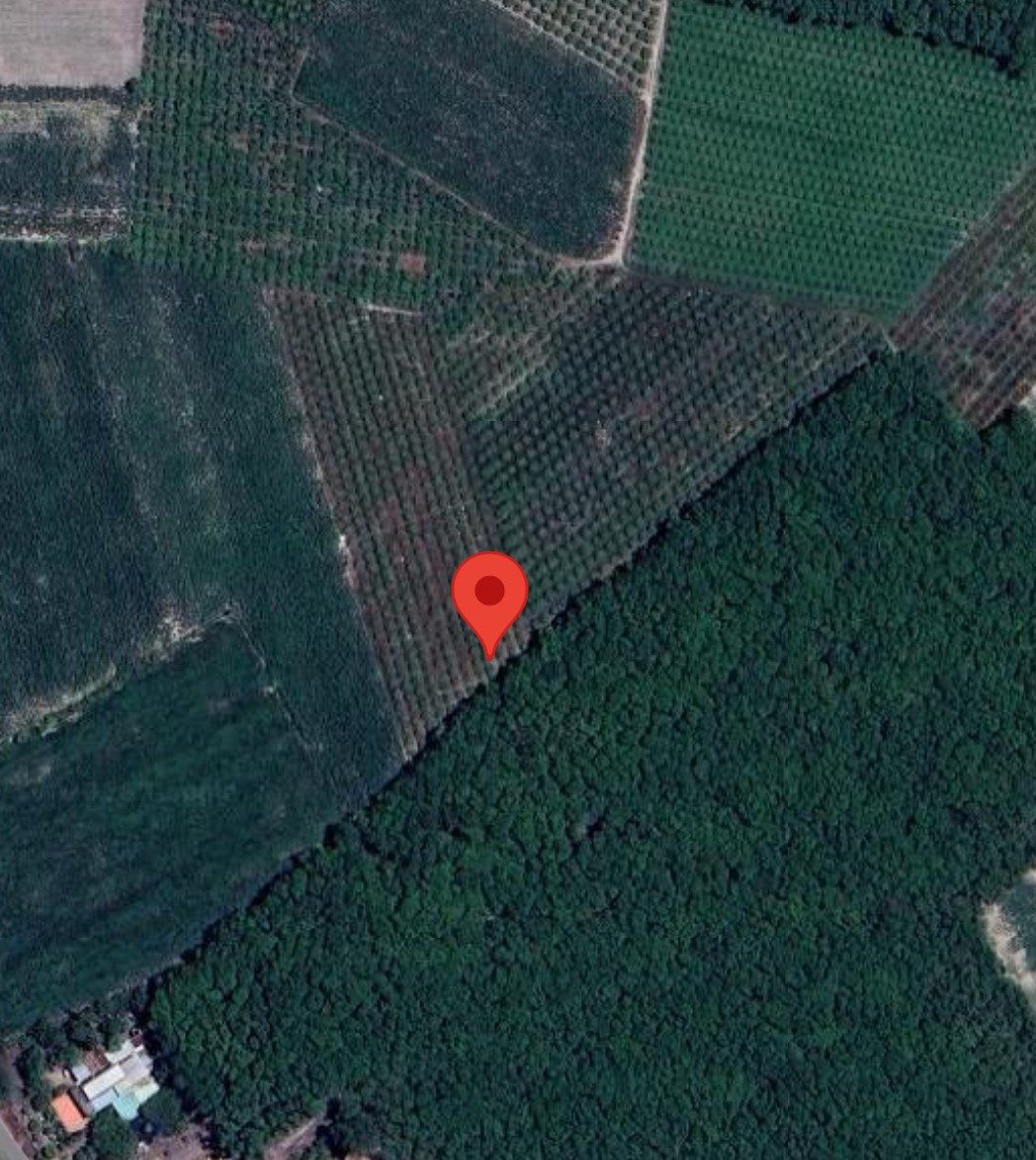 Bán đất Xã Dương Minh Châu Xã Dương Minh Châu, Tây Ninh (Mới) Xã Suối Đá, Huyện Dương Minh Châu, Tây Ninh
Xung quanh dân cư đông đẹp