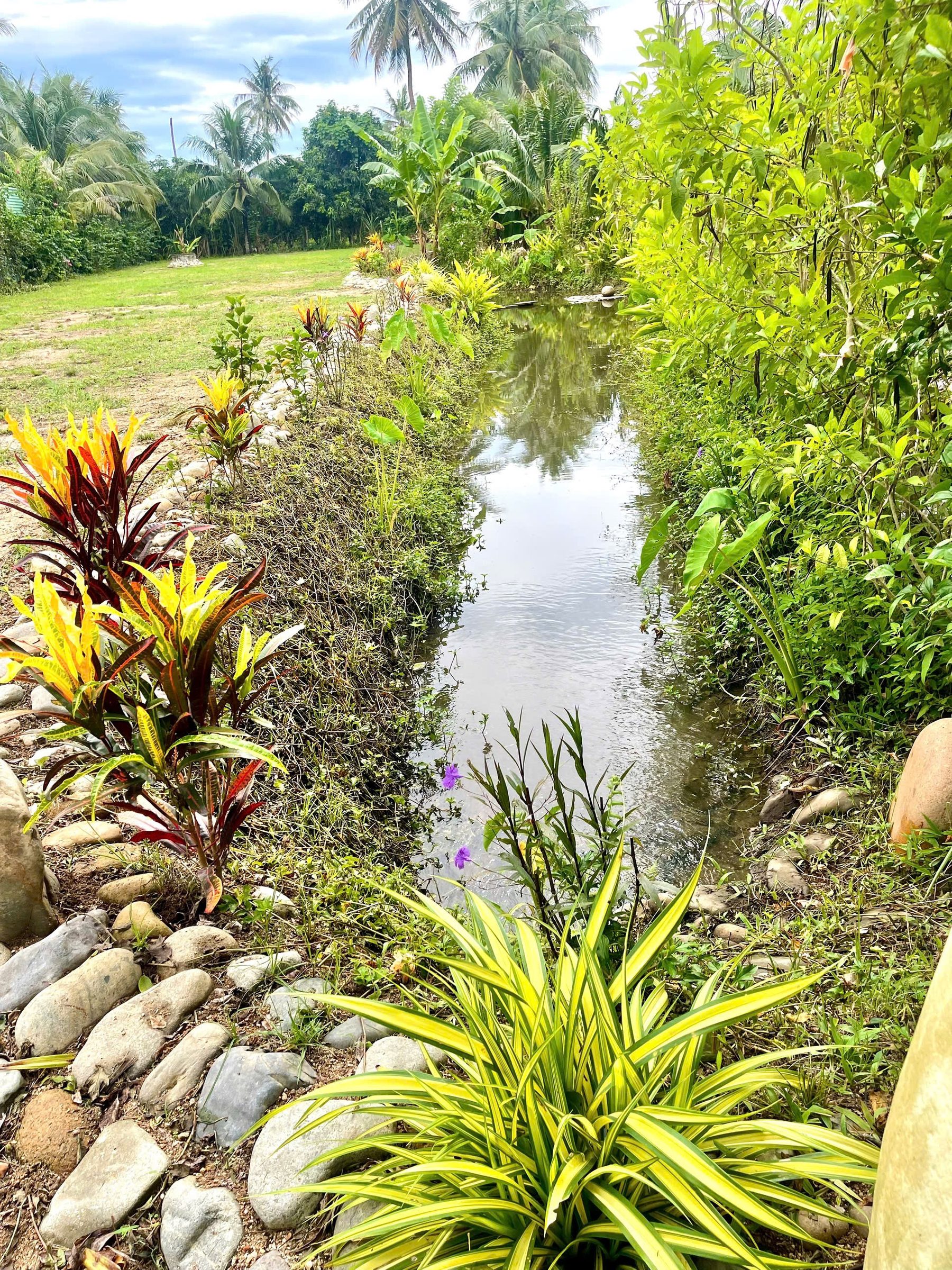 BÁN NHANH LÔ ĐẤT VƯỜN SUỐI TIÊN Nay là Suối Hiệp -Diên Khánh- Khánh Hoà 
-Diện Tích : 1364,9m Ngang 20m Nở hậu
-Đối diện khu du lịch suối tiên và khu dân cư hiện hữu
-Đường rộng 12m thông đi các hướng 
-cách Ubnd xã, chợ , trường học tầm 1km.cách tttp