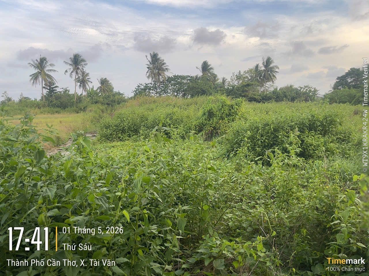 Bán đất 2930m² có sẵn 100m² thổ cư ngang 70m giá 4 tỷ tại Xã Tài Văn