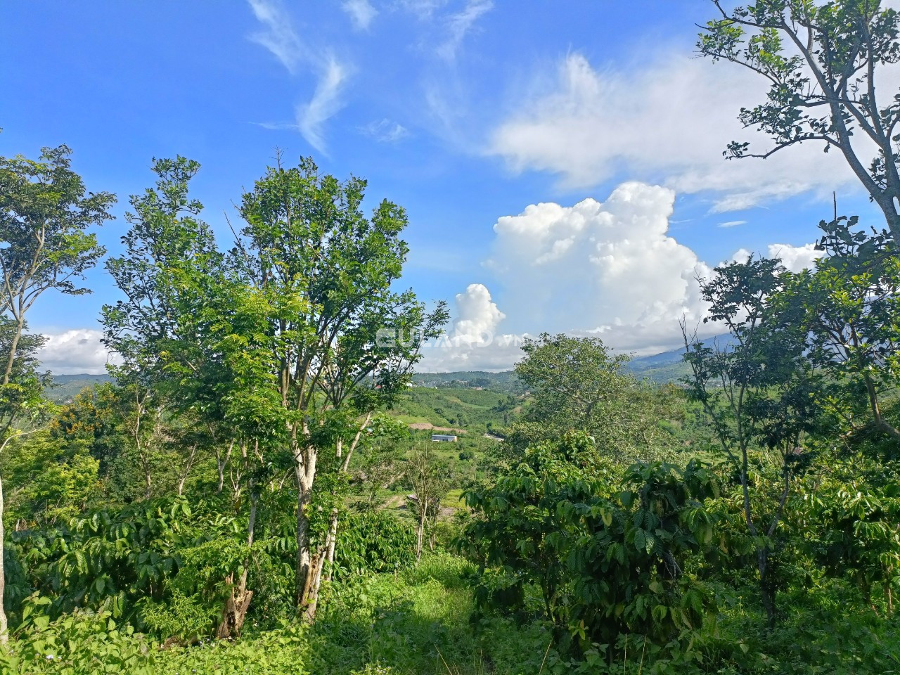 20ha đất trang trại cho bất động sản nông nghiệp đa dụng