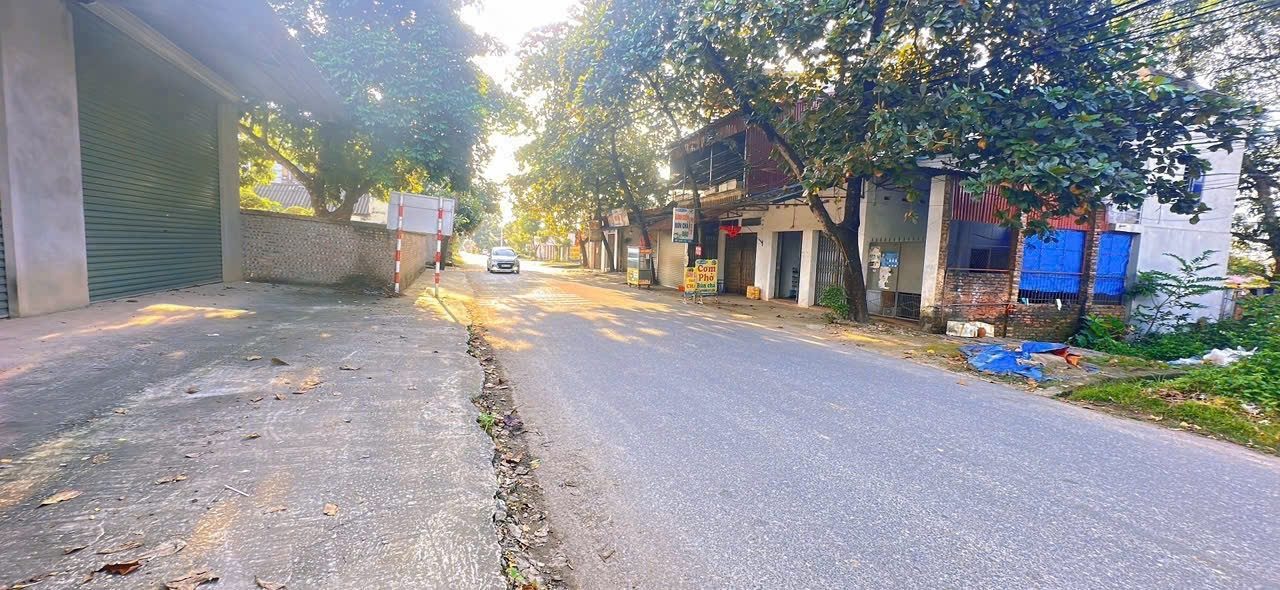 Bán Đất 82m² thổ cư 82m² giá 1.39 tỷ tại Xã Tam Đảo Phú Thọ