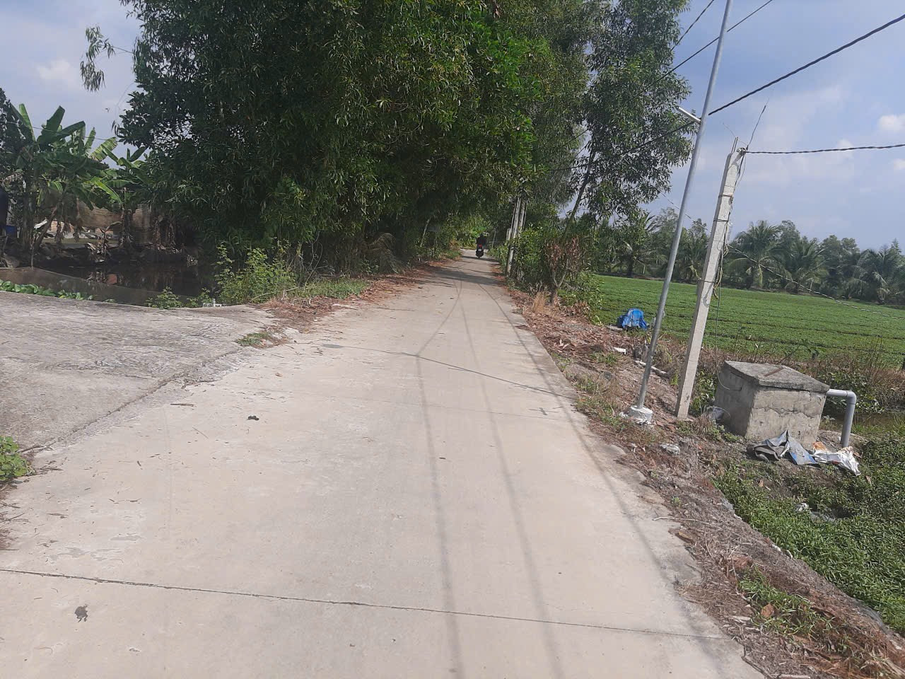 4,6công vườn đường Long Điền,Tam Hiệp,Châu Thành,Tiền Giang.