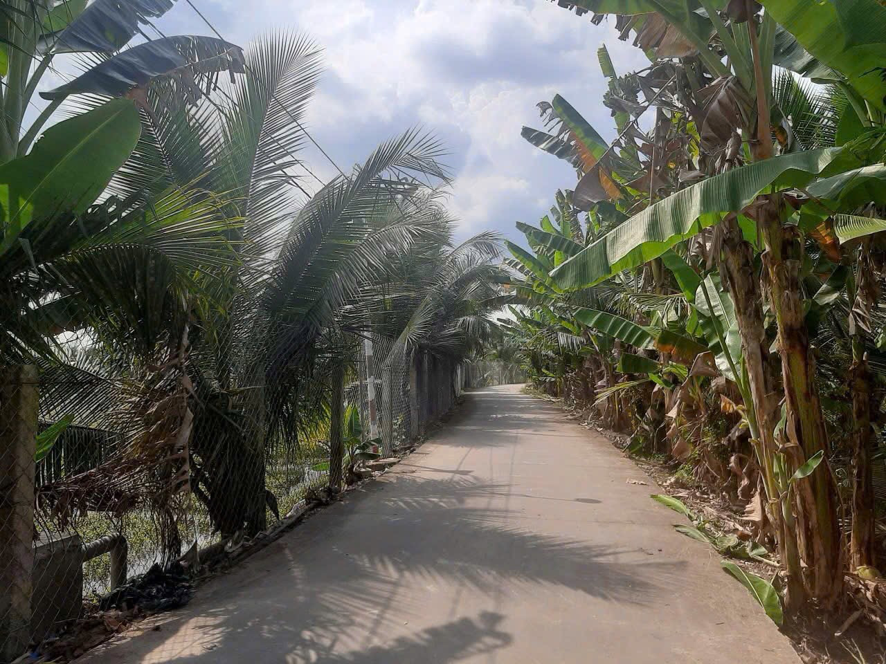 3công vườn đường Long Điền,Tam Hiệp,Châu Thành,Tiền Giang.