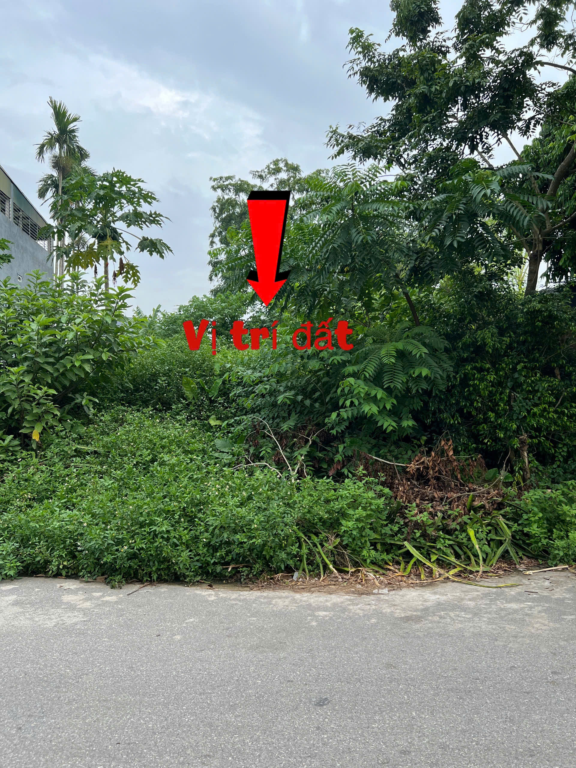 Chính Chủ Bán Lô Đất Trục Chính Ngoại Trạch 1 - Tam Hợp - Bình Xuyên – Vị Trí Đẹp, Giá Chỉ 2Tỷxxx