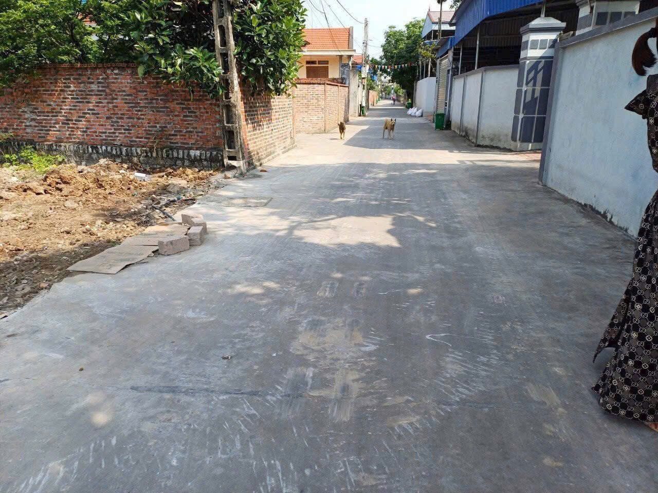 🔥 Bán lô góc TDP Tam Hưng 3 phường Nam triệu đường thông giá chỉ 8xx 🔥

Dt : 76m hướng Đông Bắc 
Nằm trên trục đường thông rộng hơn 4m 
Dân cư đông đúc,giao thômg thuận tiện
Nằm gần chợ du lễ,nhà văn hoá,trường tiểu học