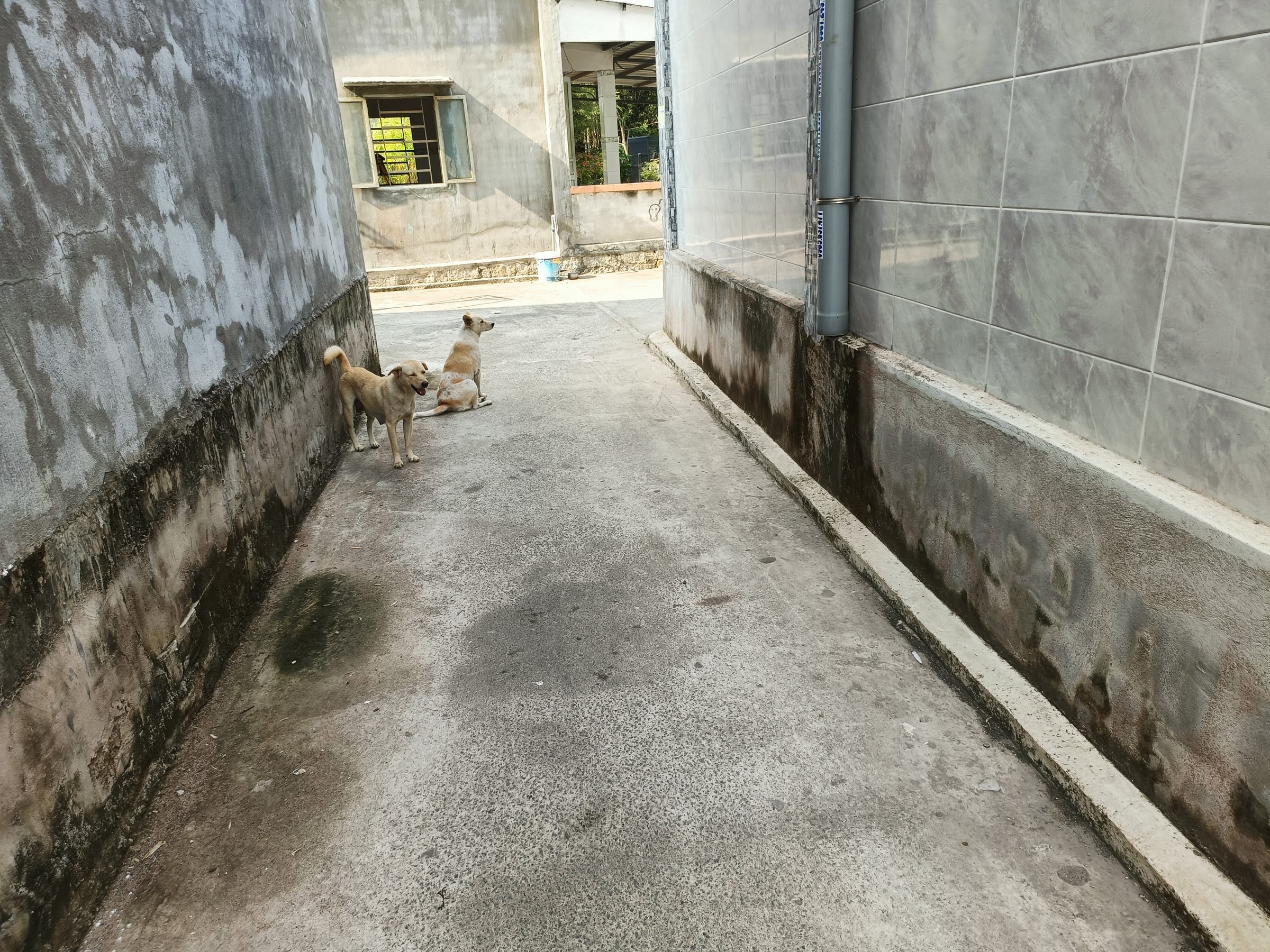 Bán Đất 284m2 có sẵn 100 m2 thổ cư giá 2.3 tỷ tại Xã Tam Phước Huyện Long Điền Bà Rịa - Vũng Tàu