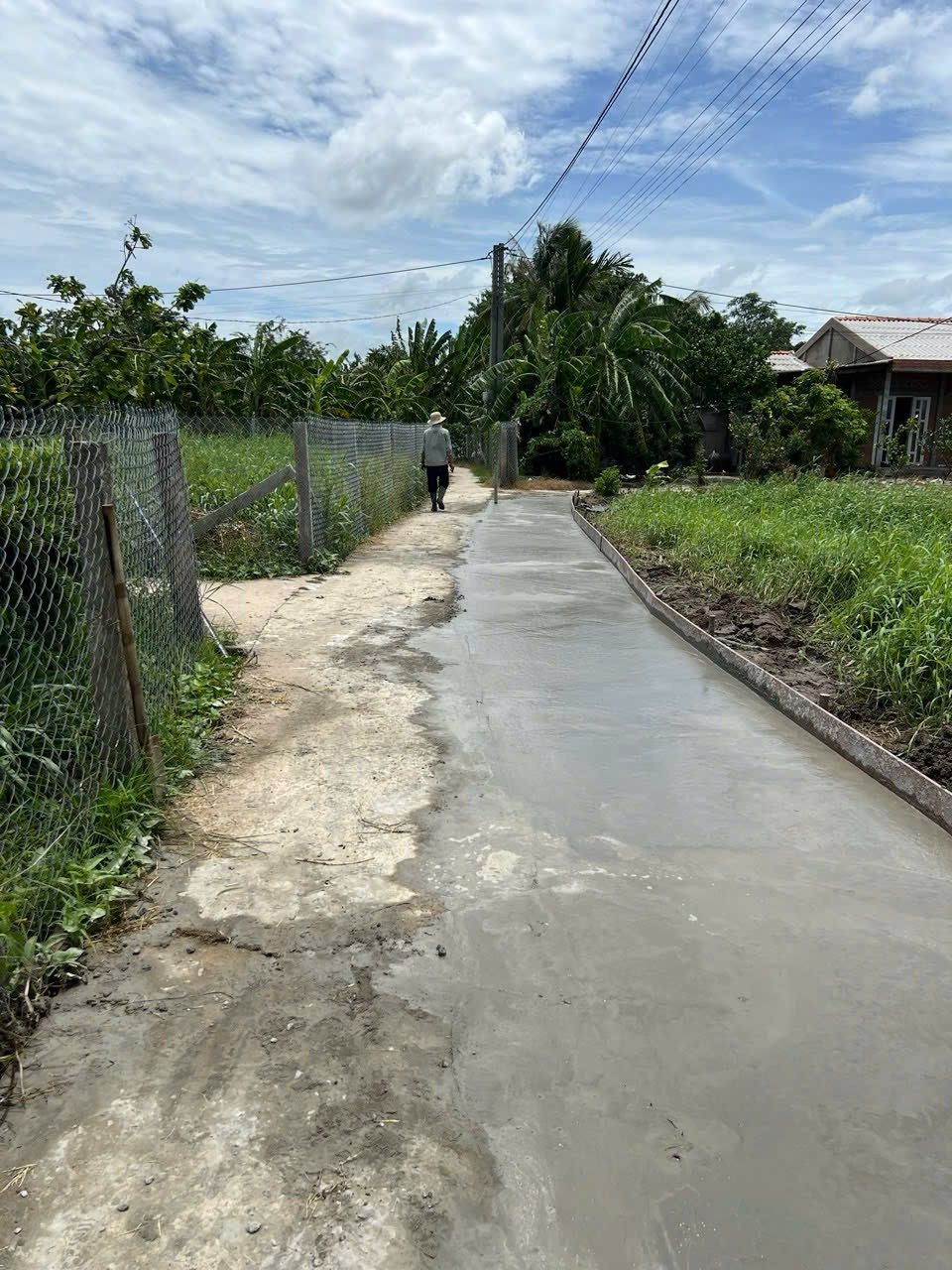 BÁN GẤP LÔ ĐẤT ĐẸP 809,7 M2 TẠI TẦM VU - TÂY NINH - ĐƯỜNG BÊ TÔNG TẬN NƠI