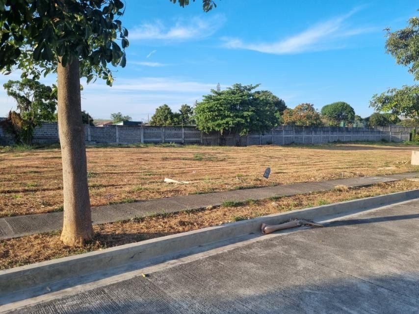 Bán Đất 100m2 có sẵn 100 m2 thổ cư- Xây Dựng Tự do - pháp lý chuẩn - Xã Tân An Hội Huyện Củ Chi TP. Hồ Chí Minh
