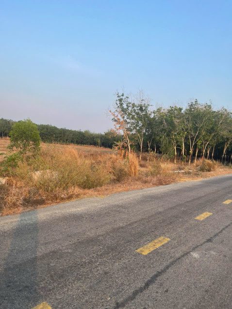 BÁN 3,4 HA ĐẤT TÂN BÌNH – TÂN BIÊN – TÂY NINH, CÓ 2,5 HA ĐẤT SKC – GIÁ CHỈ 18 TỶ