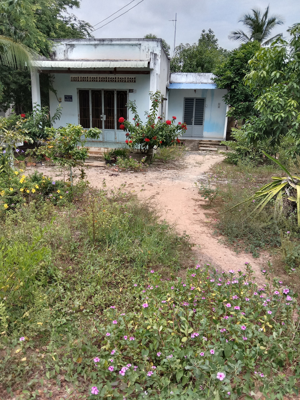 Bán bán  đất thổ cư 285m² , giá 1.2 tỷ tại, Xã Tân Bình, Huyện Tân Biên, Tây Ninh