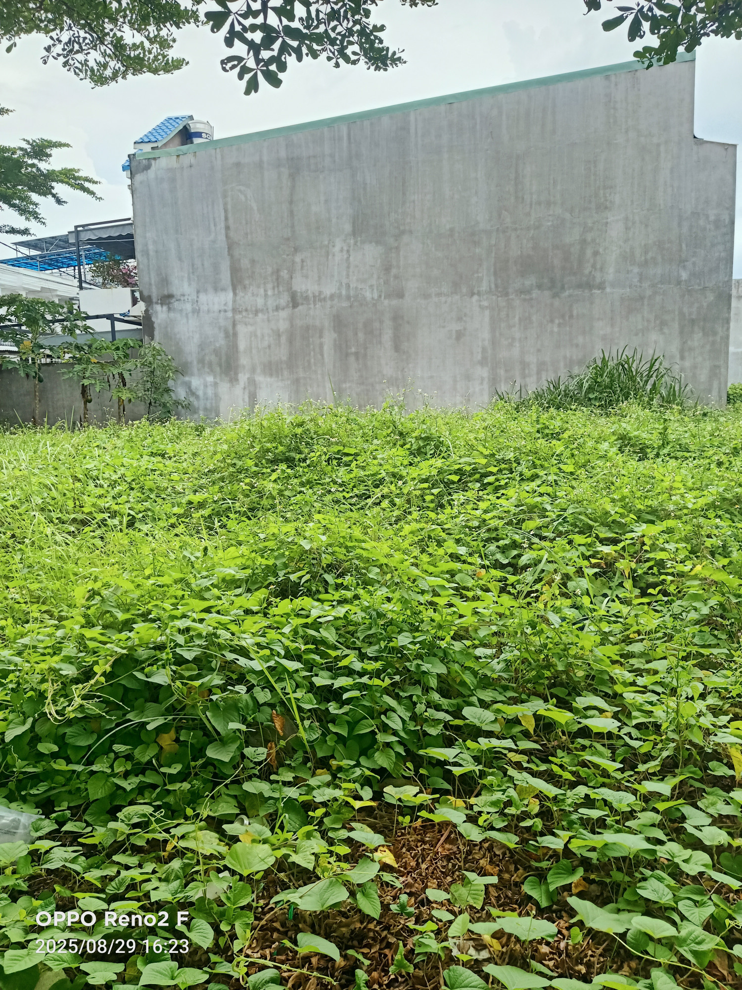 bán đất sổ riêng thổ cư
