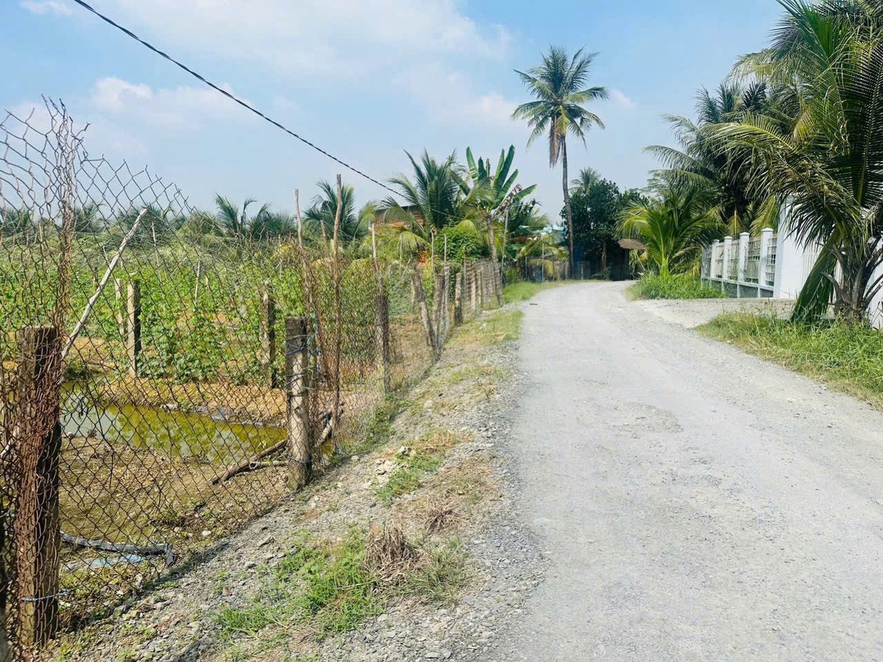 Sát  Ranh Long An và Tiền Giang Cũ. Cần Bán Gấp 2.000 m2 ĐẤT MẶT TIỀN Đường Lộ Dừa-Cầu Đình. Gần DT 827A