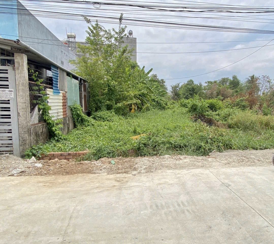 Đất full thổ 233m2 (8x29) MT ấp 3 Tân Bửu, Bến Lức, Long An, 1/ Nguyễn Hữu Trí 300m