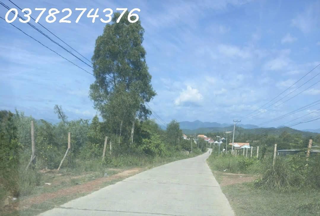 Chính chủ cần bán đất nông nghiệp tại xã Tân Định, Khánh Hòa, DT 15.000m2, giá đầu tư
