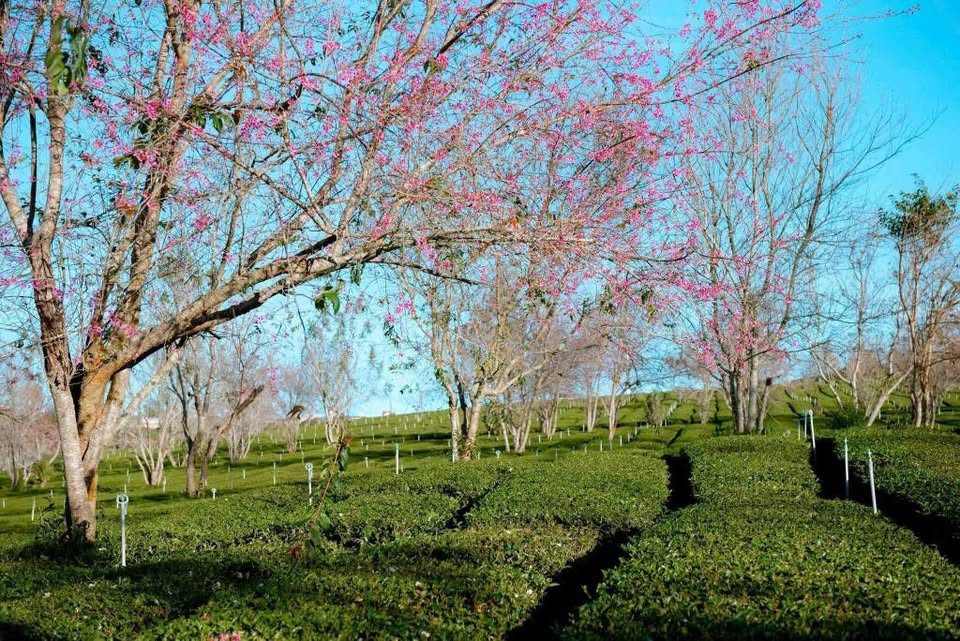 bán đất tân hà  lâm hà 3400m2 view cực đẹp, ô tô tận nơi