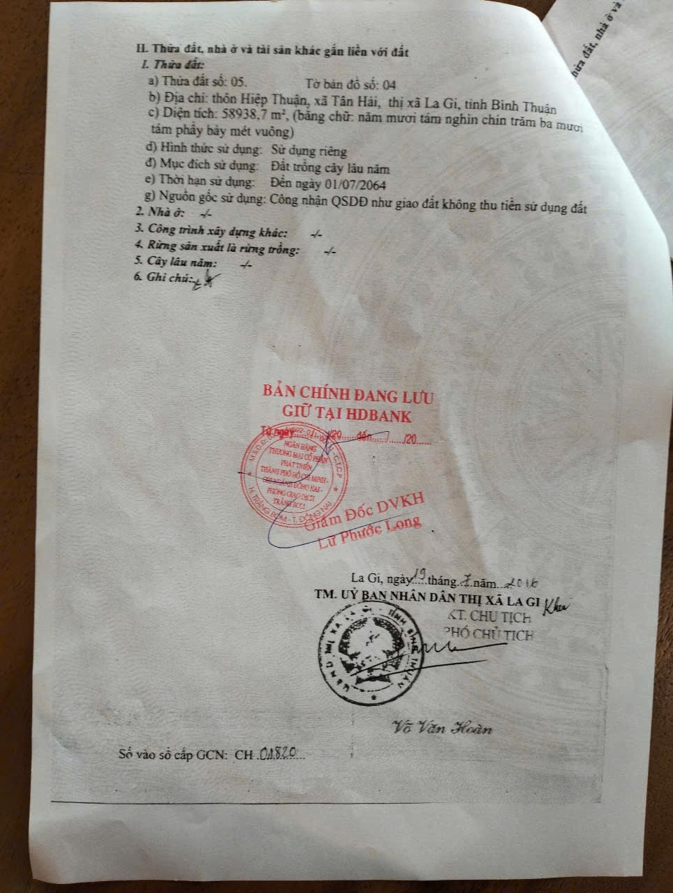 Can ban dat ray co the Chong cac loại cây, làm khu nghi dưỡng hôm say cách QL 1a 5km cách bãi tắm Tân Hải 5km