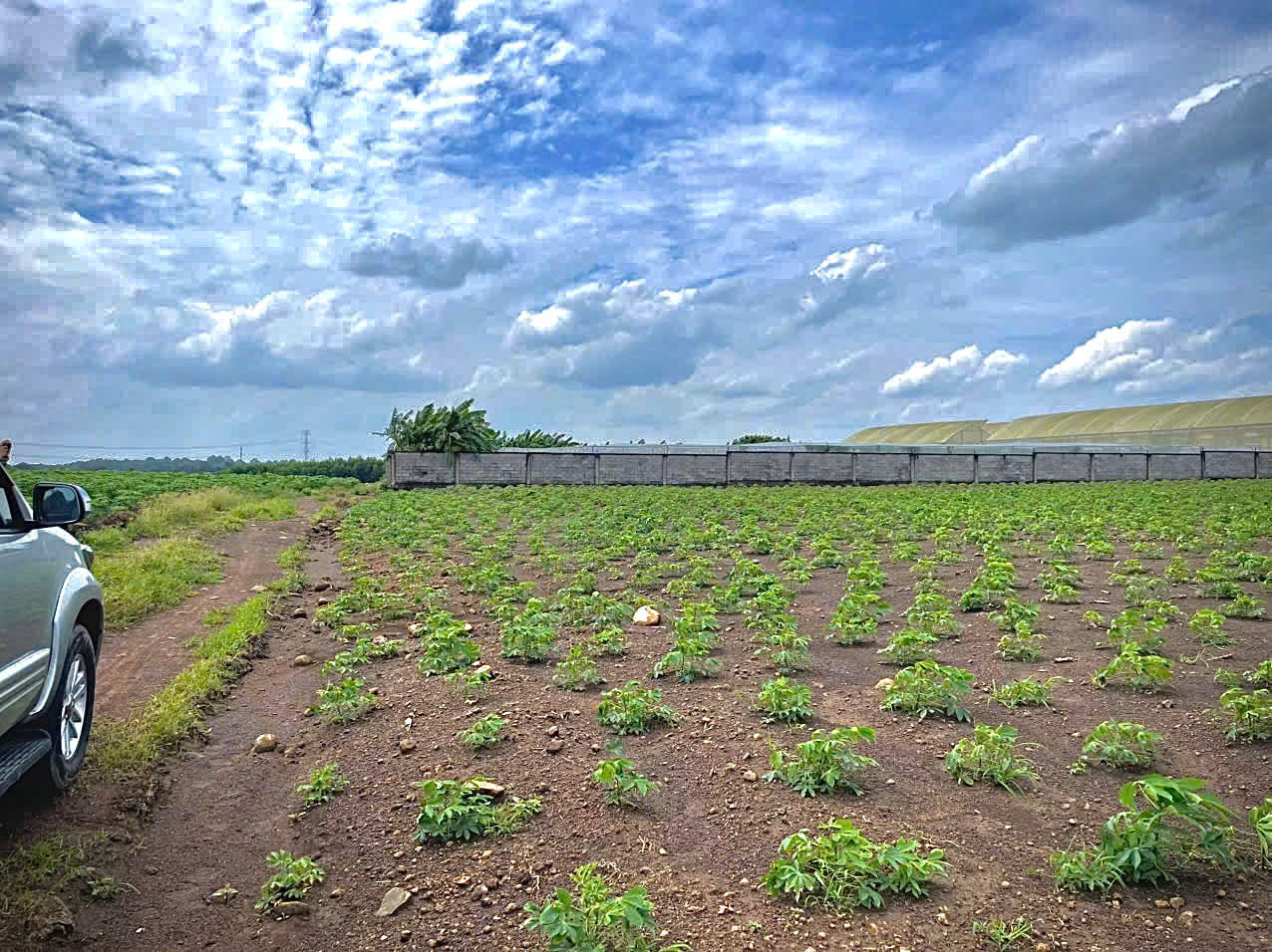 1.000m² LÔ GÓC 60M MẶT TIỀN – GIÁ HƠN 2 TRIỆU/M² GIỮA 2 KCN