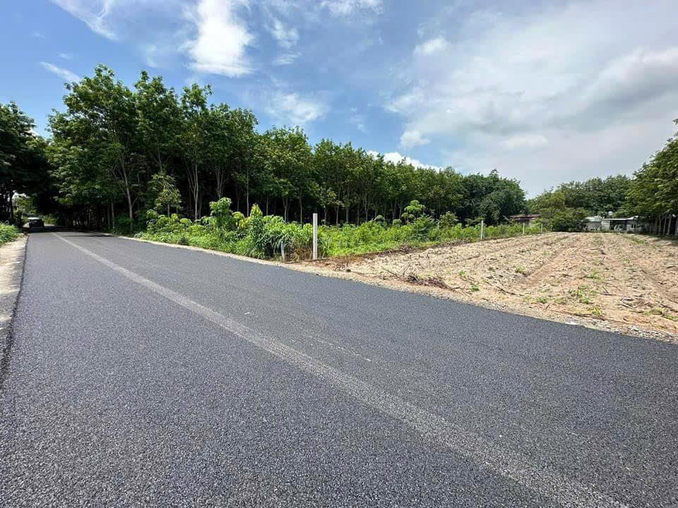 Cắt lỗ 900m2(10x90)+100m2 thổ cư ngay chợ Tân Hiệp giá NET 880tr