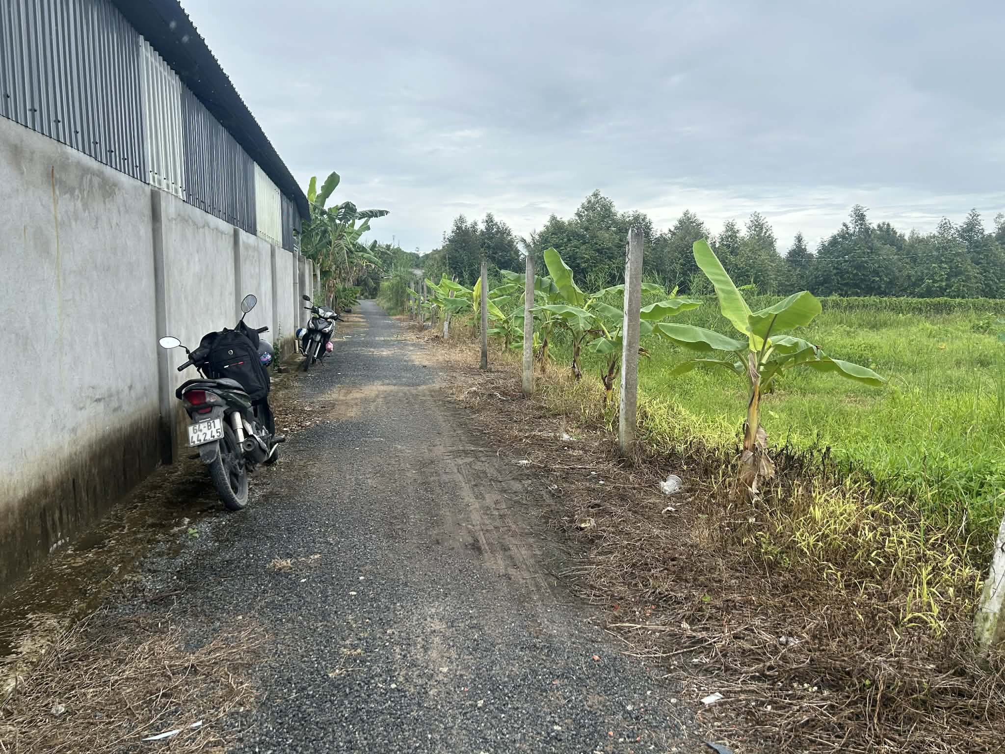 Đất vườn diện tích lớn