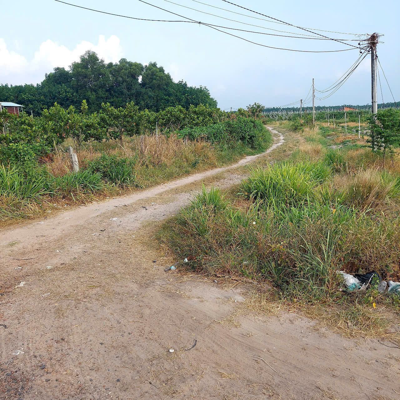 CHÍNH CHỦ CẦN BÁN LÔ ĐẤT CÓ VỊ TRÍ ĐẸP TẠI XÃ TÂN HƯNG - H. TÂN CHÂU - TỈNH TÂY NINH