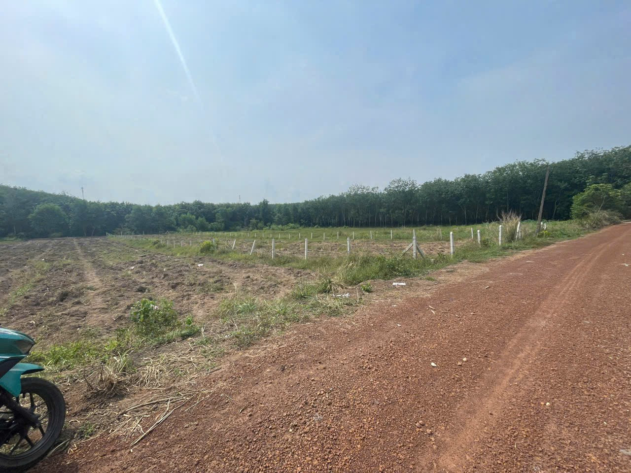 Cần bán lô đất sào 700m2 sẵn 100m2 thổ cư ngang 10m cho anh chị em kinh doanh xưởng kho ở Bàu Bàng Bình Dương cũ