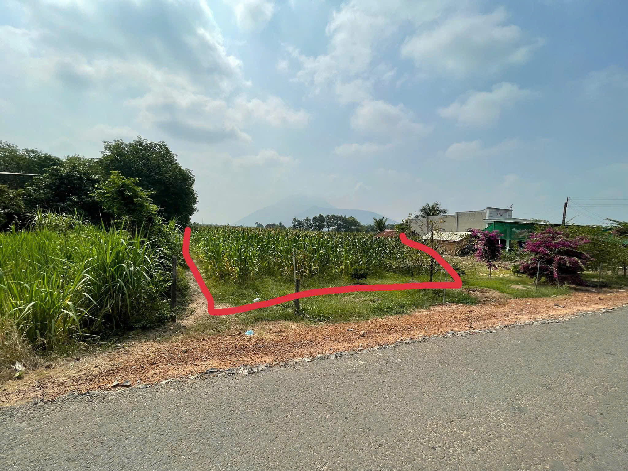 Cần tiền bán gấp đất gần núi bà đen, mặt tiền đường nhựa, 587.3m2, ngang 10m, giá 1,25 tỷ