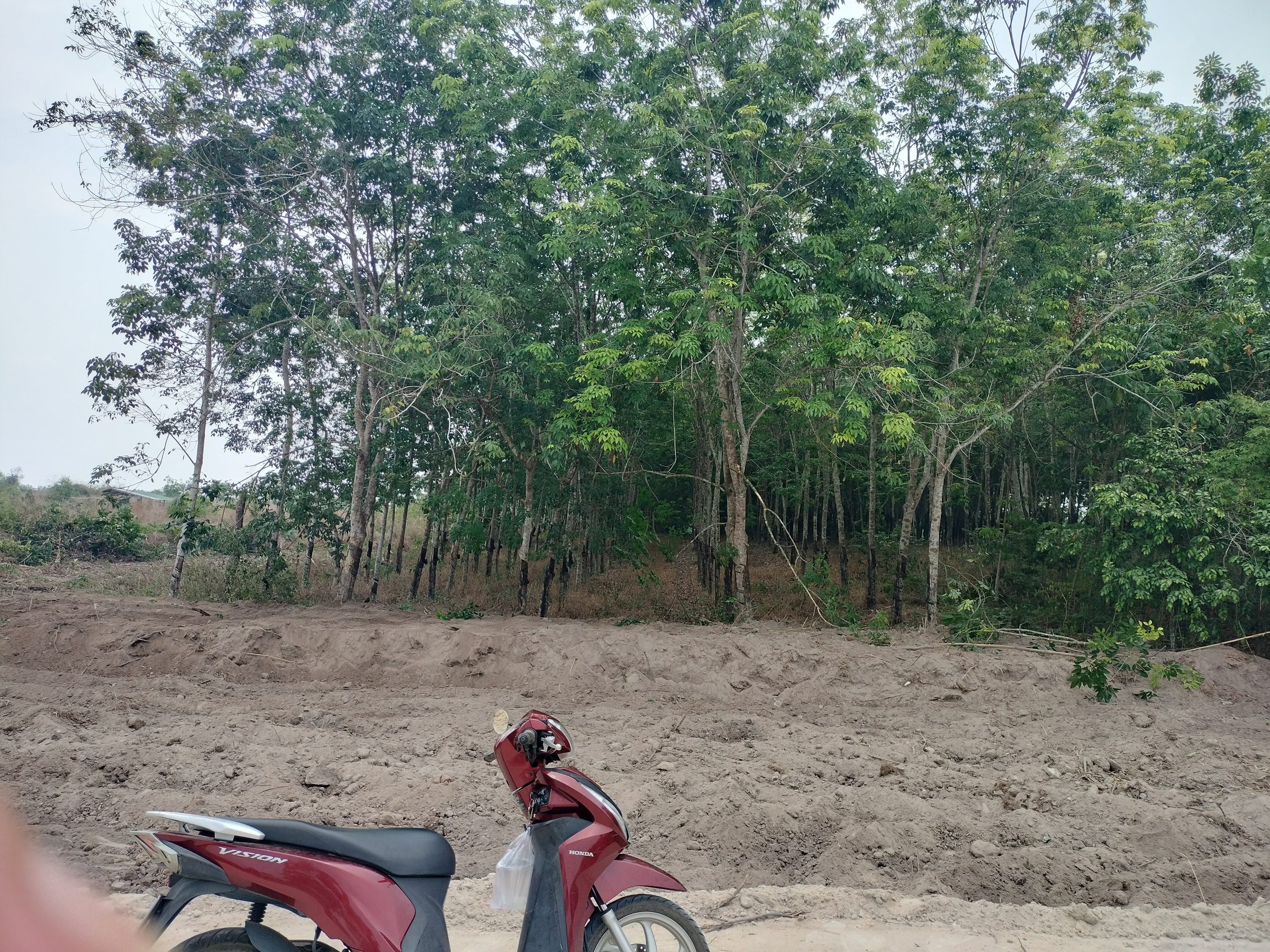 Bán đất 5891.6m² có sẵn 100.0m² thổ cư ngang 24.1m giá 5.8 tỷ tại Xã Tân Khai