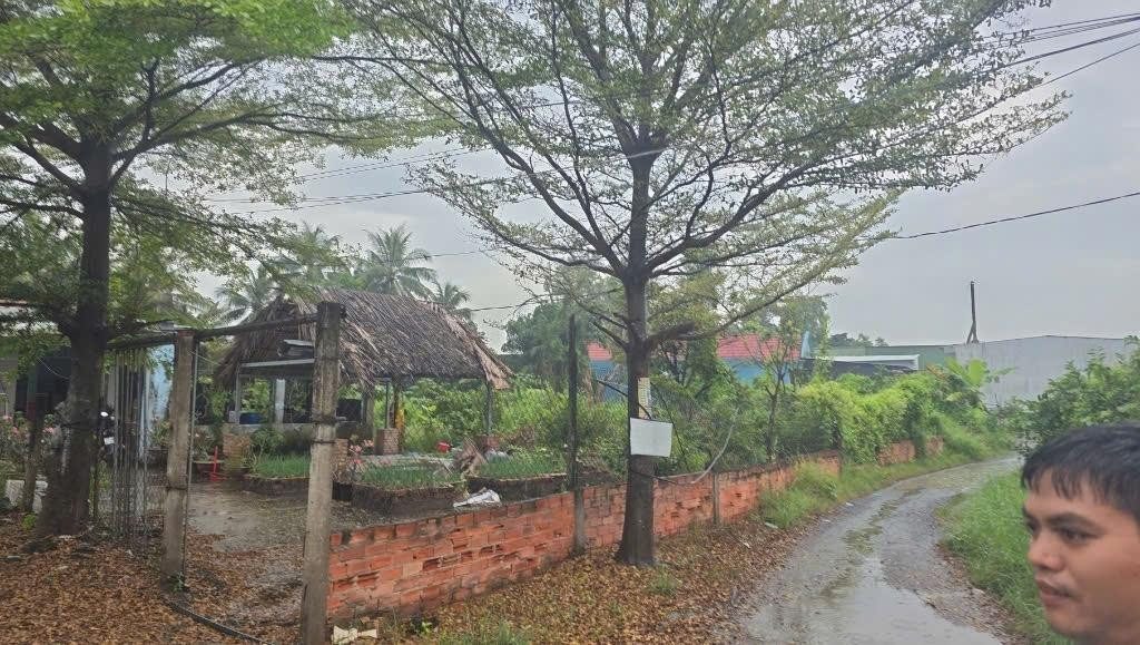 BÁN ĐẤT MẶT TIỀN TRẦN ĐẠI NGHĨA BÌNH CHÁNH 11300M2 220 TỶ CÓ 2500M2 THỔ CƯ DÒNG TIỀN 150 TRIỆU