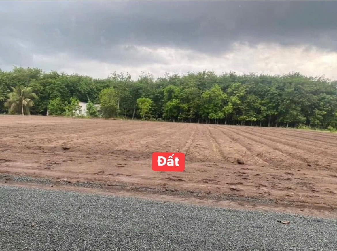 Bán đất 1000m² giá 400 triệu tại Xã Tân Lợi