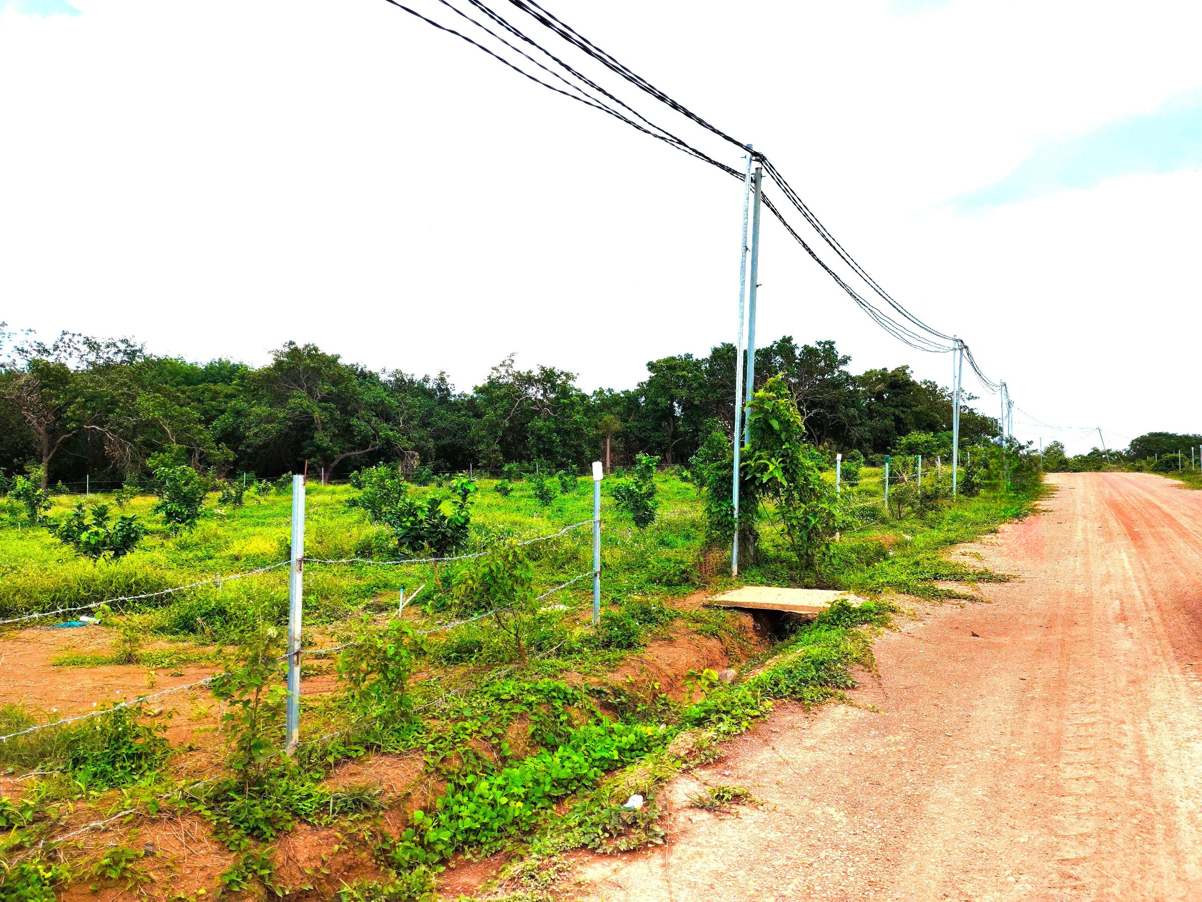 Bán đất 1000m² ngang 10m giá 300 triệu tại Xã Tân Lợi