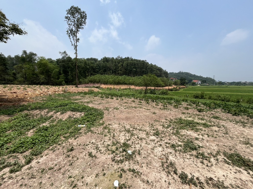 Bán đất 1200m² ngang 35m giá 8.38 tỷ tại Xã Tân Minh Huyện Sóc Sơn