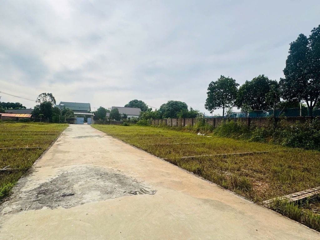 SIÊU PHẨM TÂN MINH - ĐẤT NỀN XUÂN ĐỒNG - Ô TÔ VÀO CỬA - QUY HOẠCH CHUẨN 100%