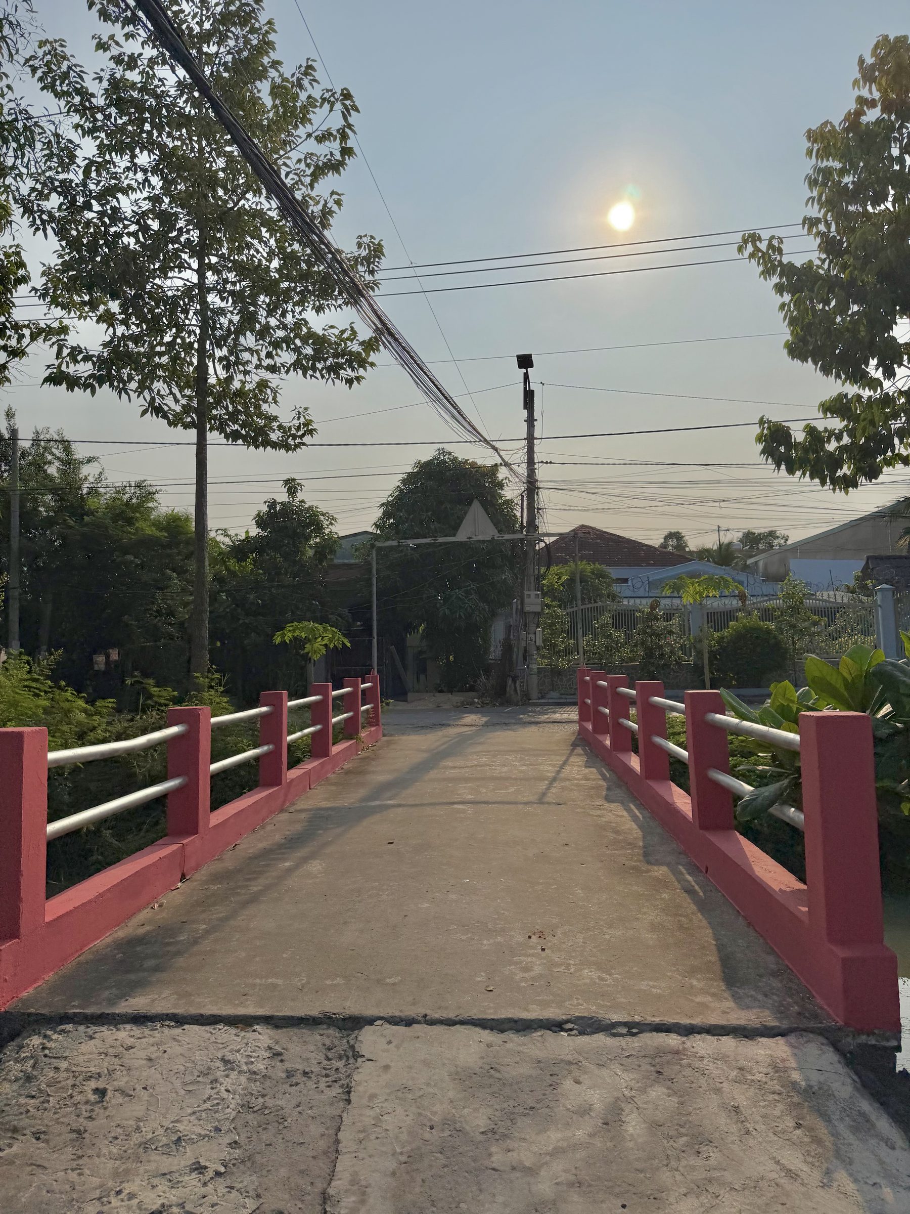 🌿 ĐẤT VƯỜN TÂN MỸ CHÁNH – GẦN KÊNH NAM VANG