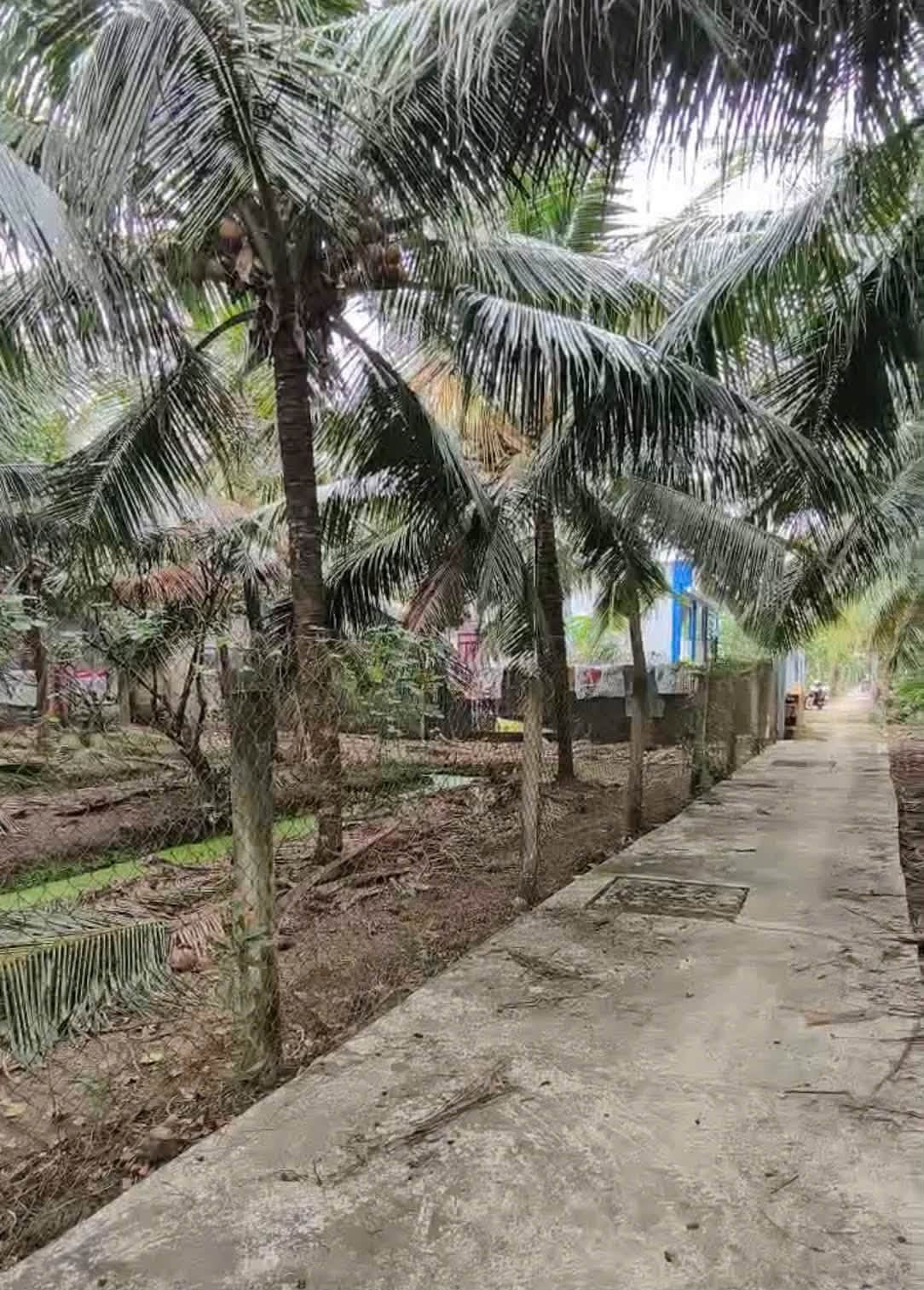 Đất vườn Tân Mỹ Chánh, Tp Mỹ Tho