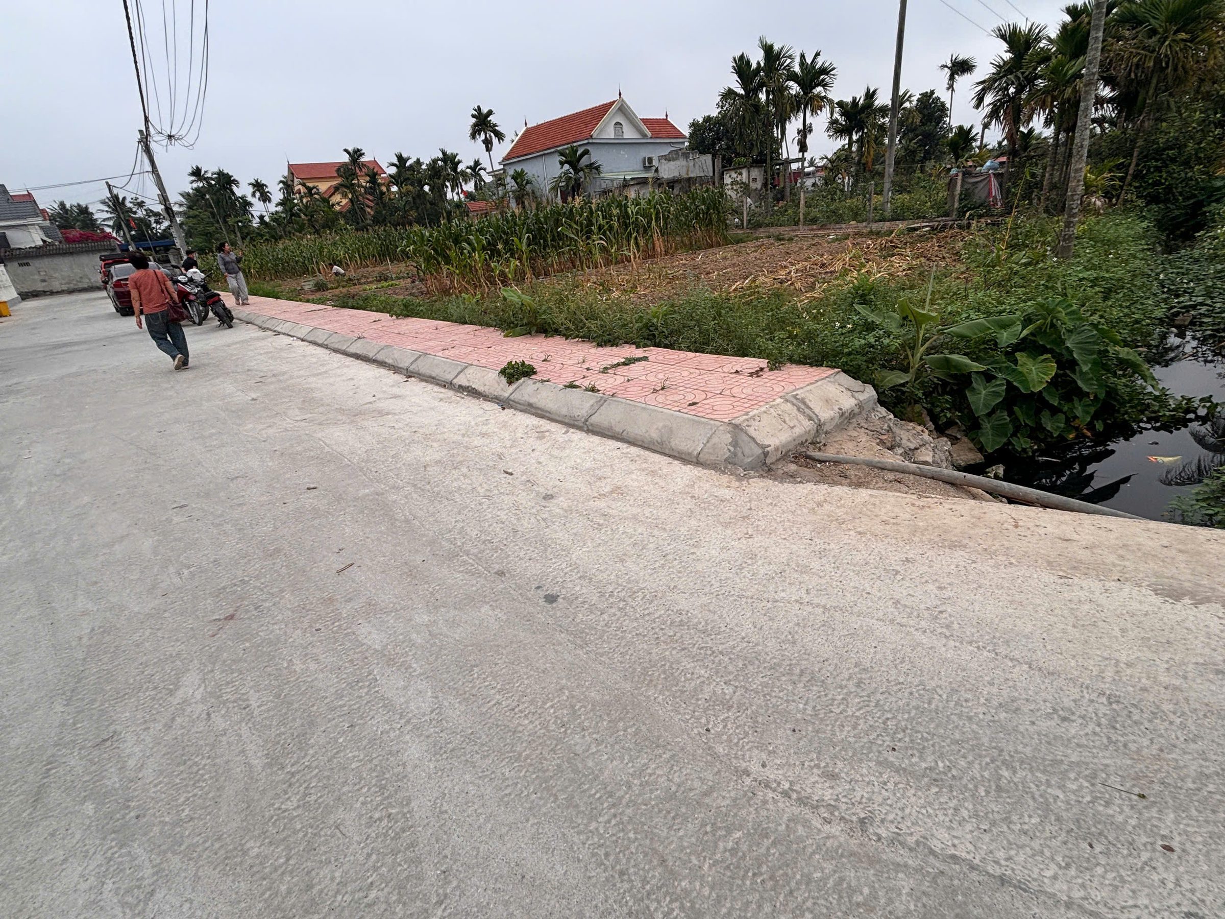 3KH80NV 🌳🌳 CHÍNH CHỦ GỬI BÁN LÔ ĐẤT NHÀ VƯỜN MẶT ĐƯỜNG TRỤC THÔN KÍNH TRỰC – KIẾN HẢI – HẢI PHÒNG 🌳🌳
