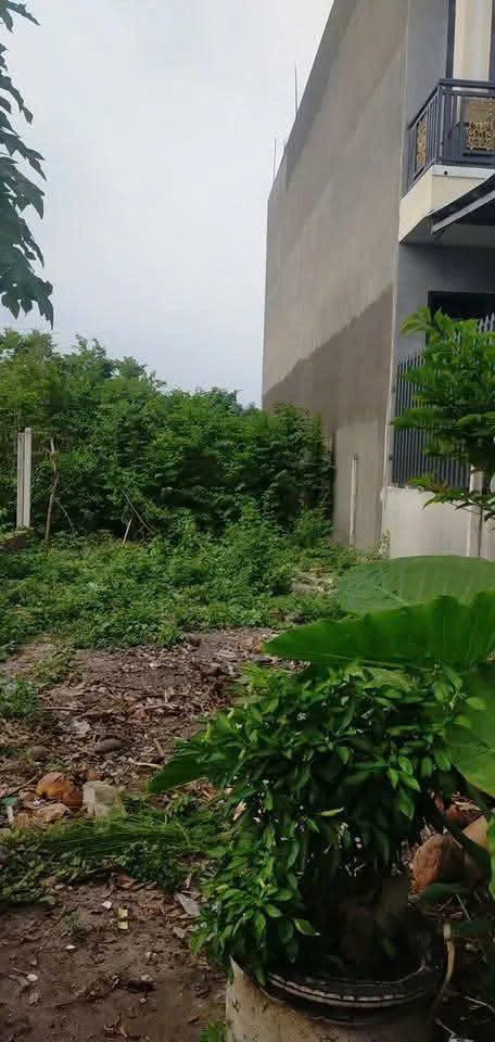 Đất rẻ Củ Chi –  xã Tân Phú Trung gần trục đường Hồ Văn Tắng, 5x22m giá 1,3 tỷ
