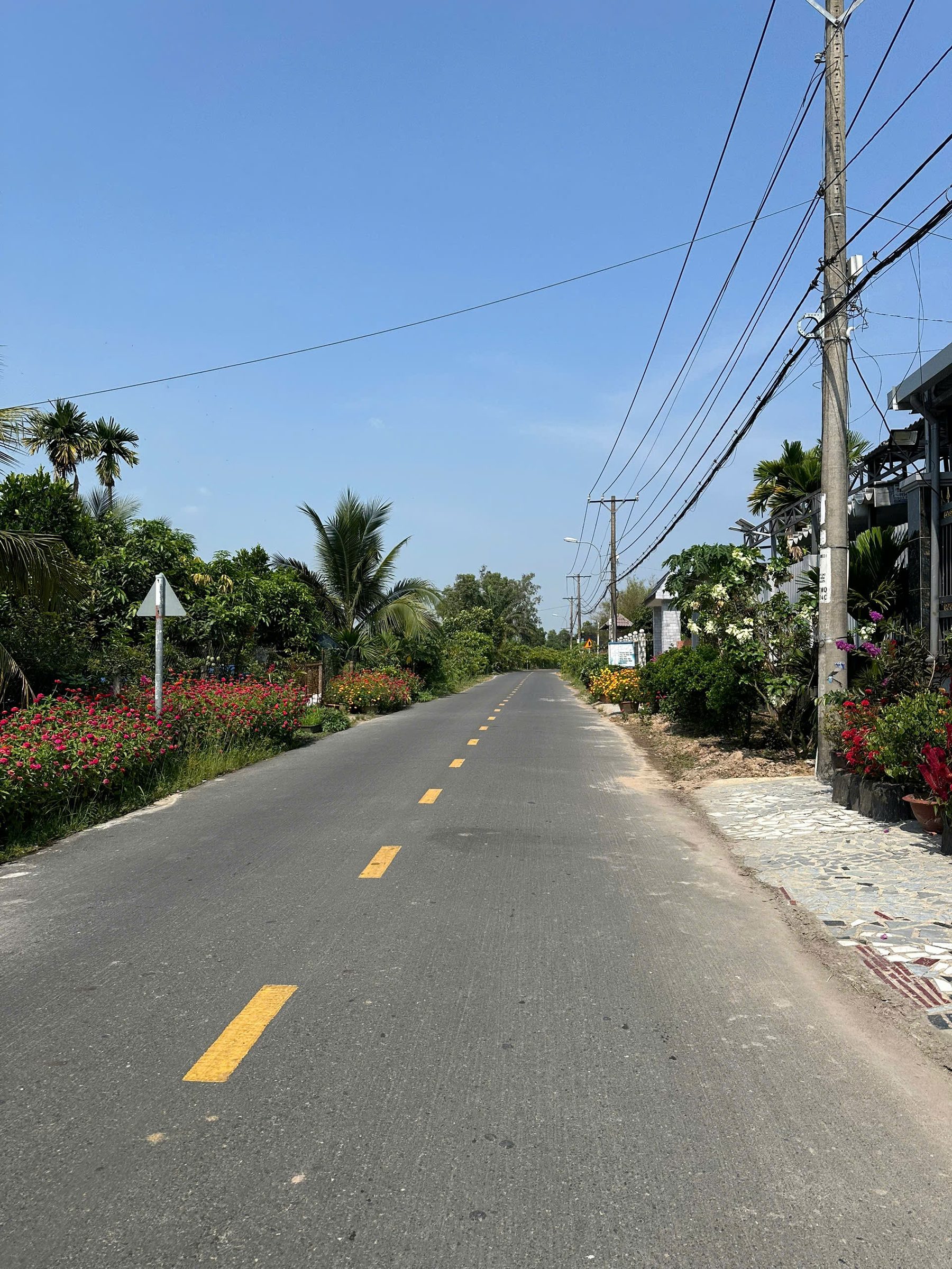đất lớn xã Tân Phú Trung Củ Chi 840m2 có 700m2 thổ cư giá 15ty thương lương
