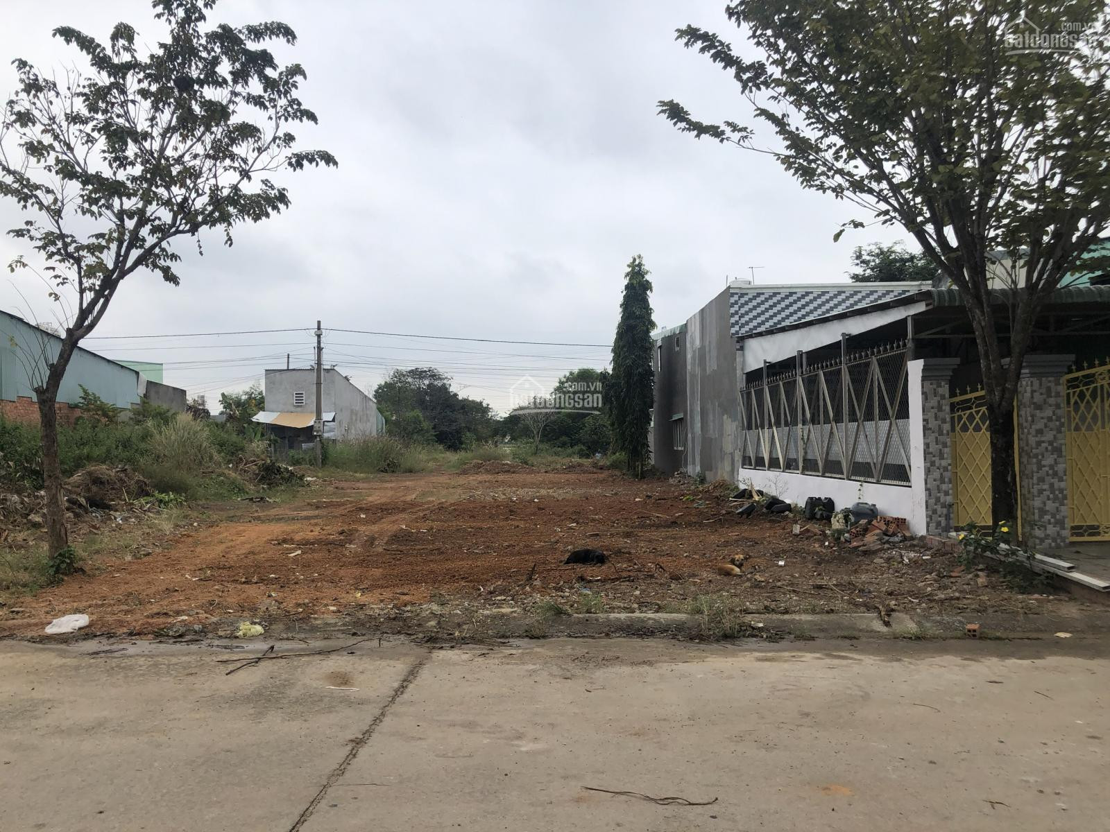CẦN BÁN 1159M2 MẶT TIỀN 15M NỢ HẬU 25M NGAY NHÀ MÁY PHÚ HÀO GIÁ 550TR 0938889035_A ÚT