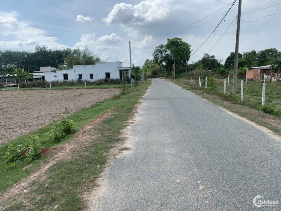 Bán đất 250m² ngang 5m giá 290 triệu Xã Tân Quan 0938889035_A ÚT