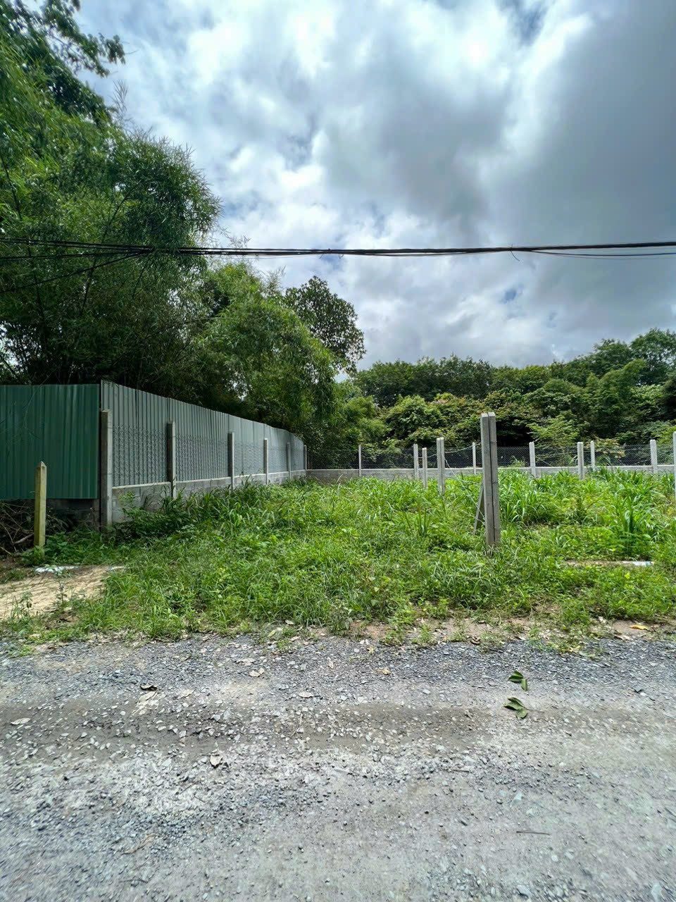0909 044 186. Bán đất 260m² có sẵn 100m² thổ cư ngang 5m giá 320 triệu gần chợ, kcn dân đông