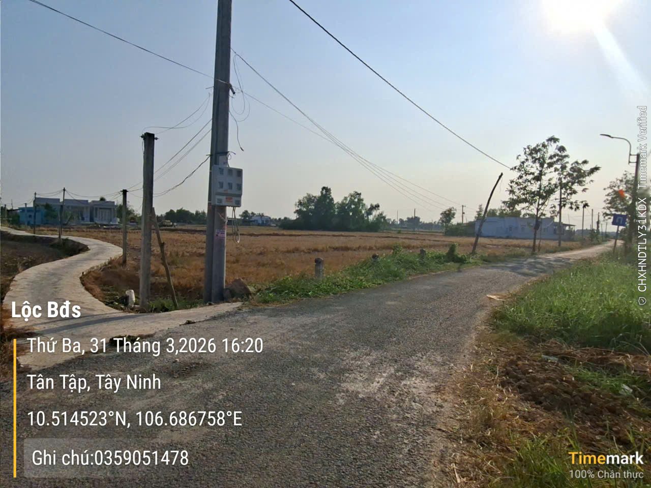 Bán đất mặt tiền nhựa ngang 55m tại Tân Tập, Cần Giuộc phù hợp lên thổ, tách thửa
