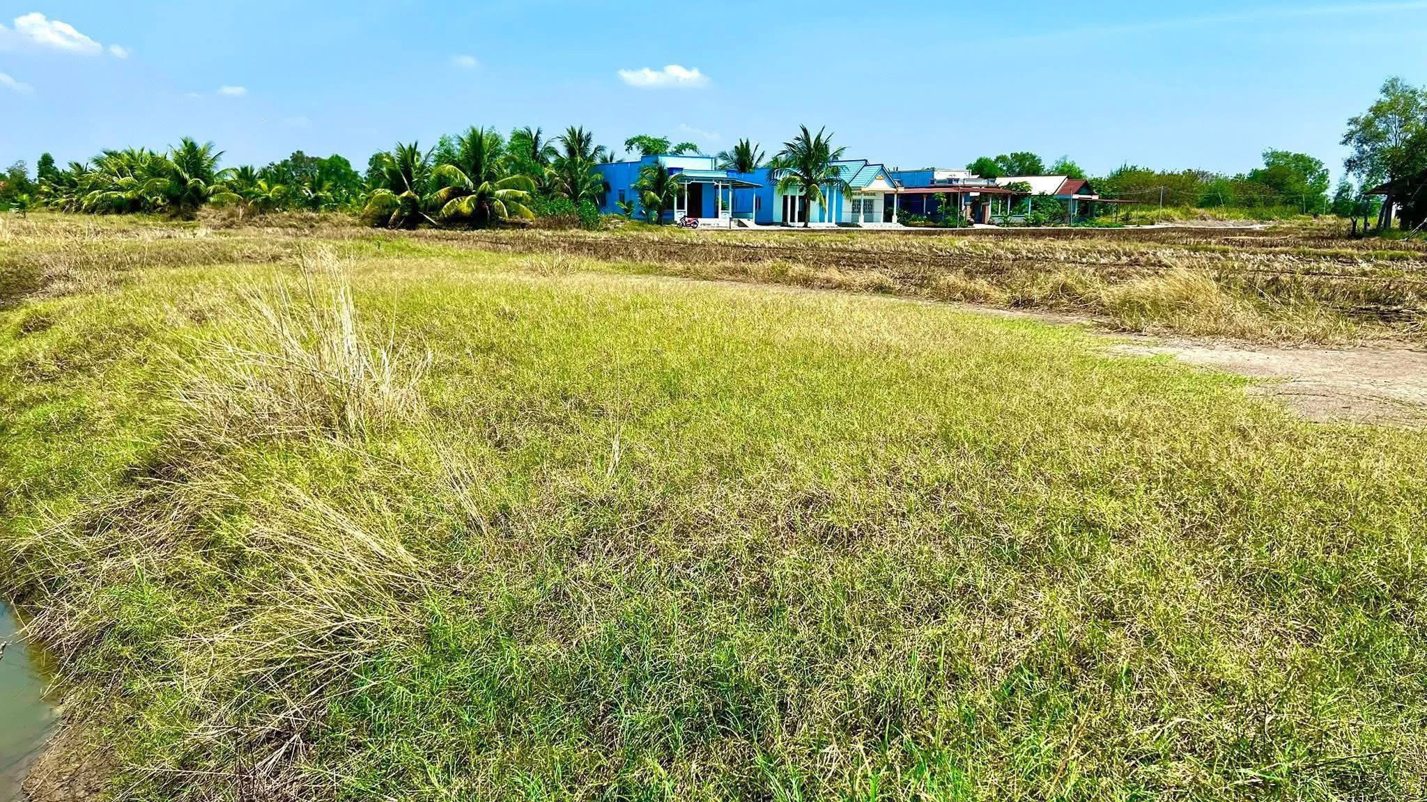 Đất NN Liền Kề Cảng QT Long  An